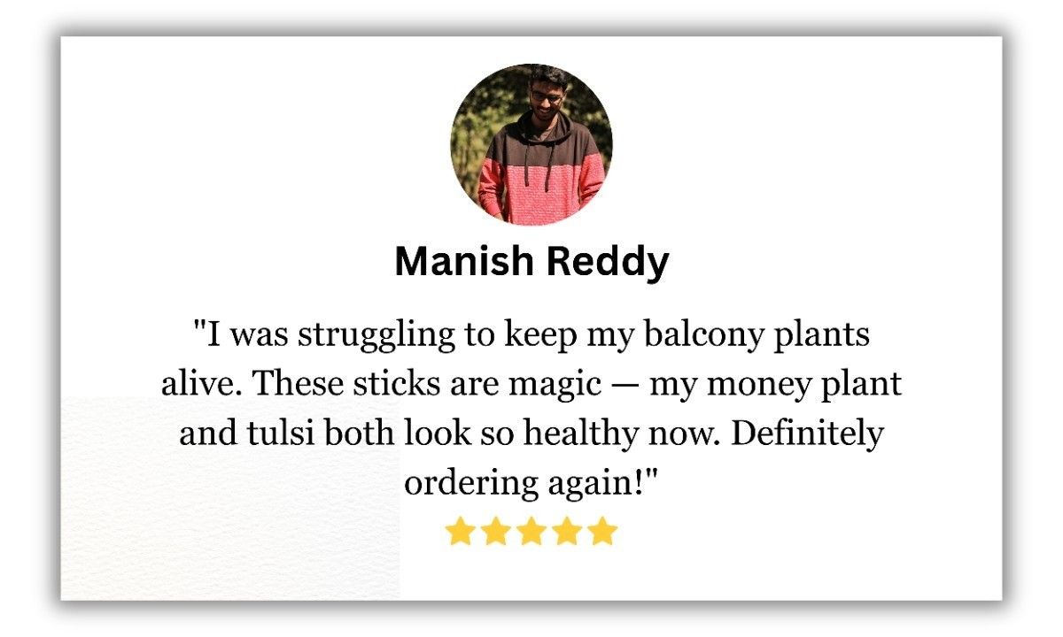Review 34